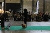  - Eurodogshow 2017 Courtrai